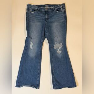 Maurices Edgley Blue Flare Distressed Jeans